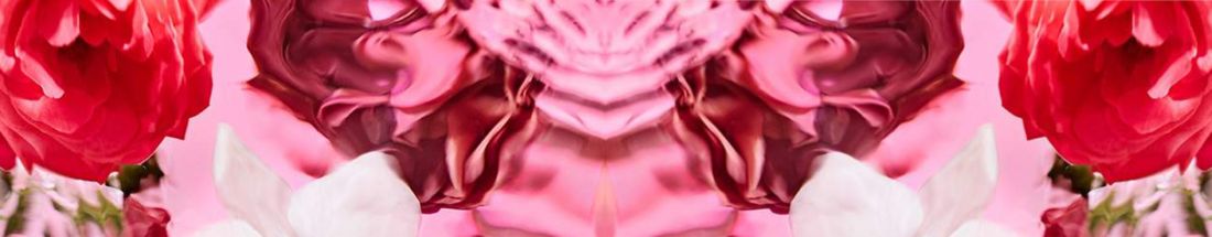 Best Floral Fragrances for Women in 2025 - Under £20 Picks at Decanted UK