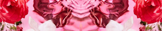 Best Floral Fragrances for Women in 2025 - Under £20 Picks at Decanted UK